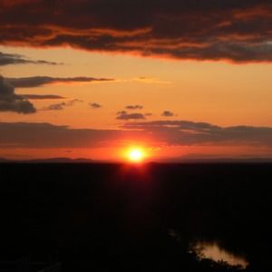 Meet your Posher, Reeni